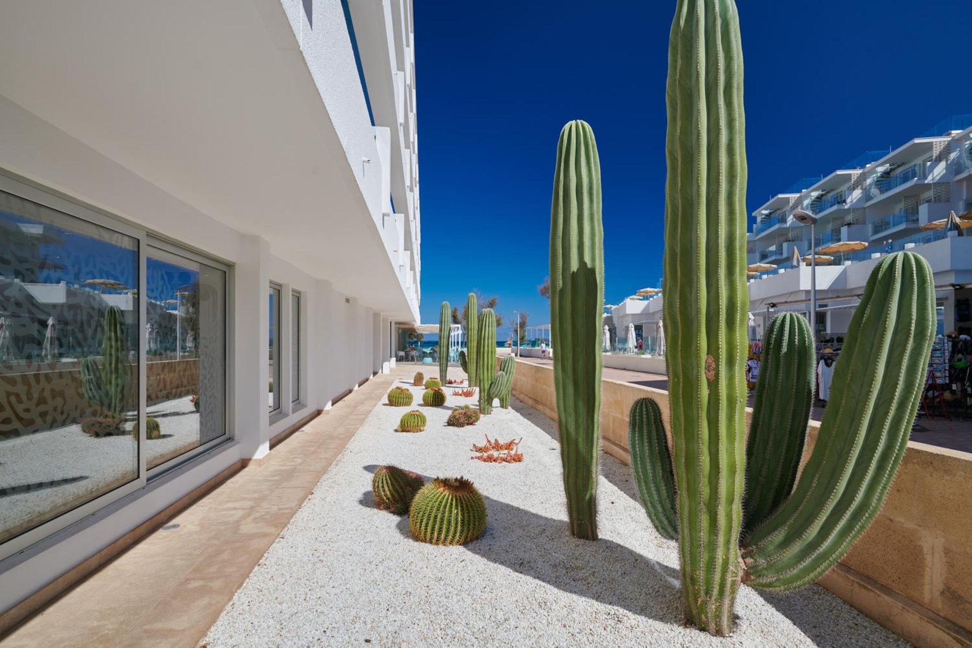 The Sea Hotel By Grupotel - Adults Only Can Picafort (Mallorca) Exterior foto