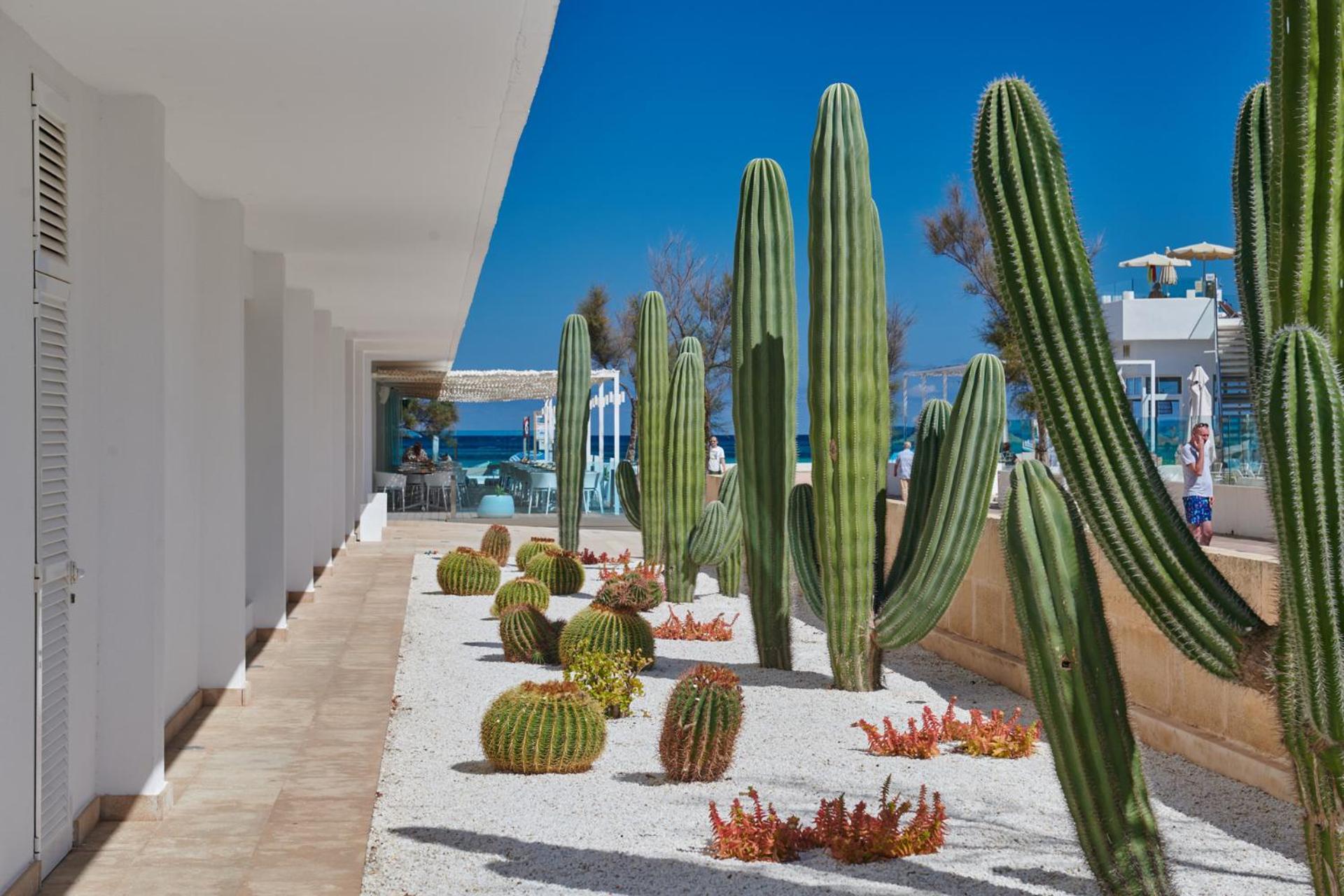 The Sea Hotel By Grupotel - Adults Only Can Picafort (Mallorca) Exterior foto